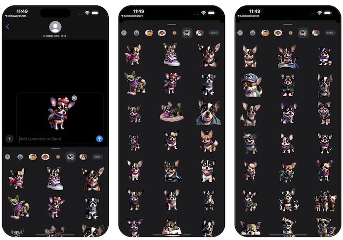 Chihuahua ZZUZZU is Cute